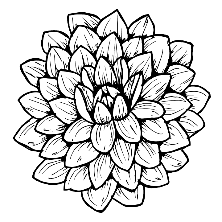 How To Draw A Dahlia Step By Step Tutorial The Happy Ever Crafter